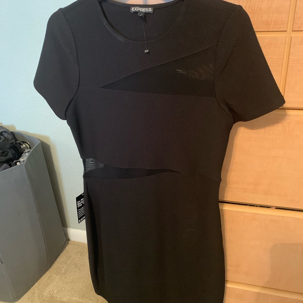 Express bodycon dress